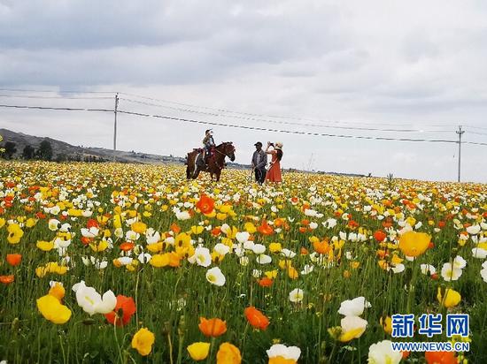 游客在吉木萨尔县百花谷拍照留念