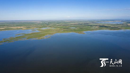 6月18日,呼图壁大海子湿地,无人机拍摄的大海子俯瞰图。