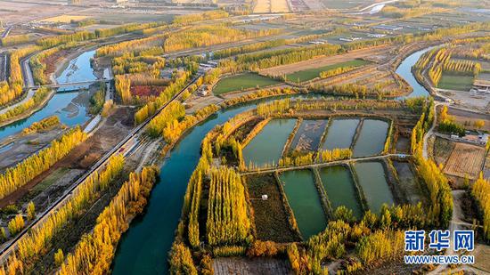 10月21日,航拍新疆博湖县开都河畔秋景。新华网发 年磊摄