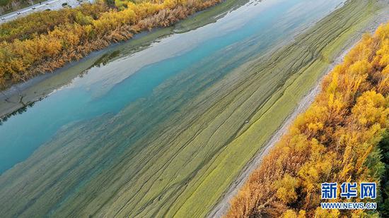 10月21日,航拍新疆博湖县开都河畔秋景。新华网发 年磊摄