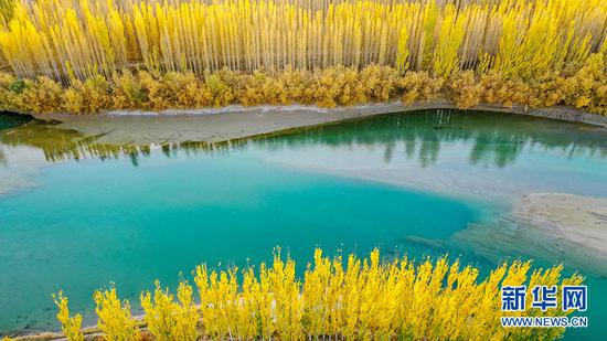 10月21日,航拍新疆博湖县开都河畔秋景。新华网发 年磊摄