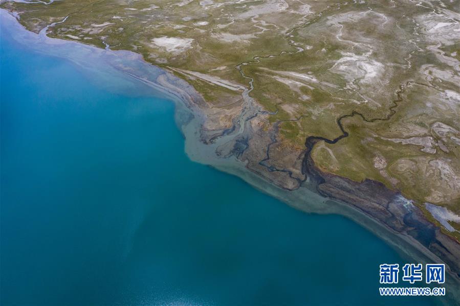 帕米尔高原上的喀拉库勒湖及湖畔湿地一景（6月16日摄，无人机照片）。新华社记者 胡虎虎 摄