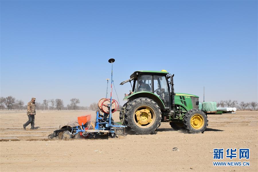 新疆生产建设兵团第八师一四一团装有北斗导航的农用机械正在春播(3月28日摄)。新华社记者 高晗 摄