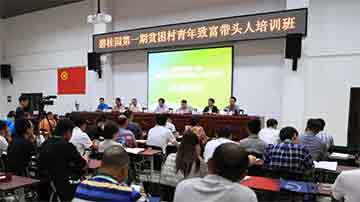 碧桂园举办短期体验式培训班