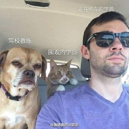 囧哥:热心市民冒台风移树清理路面 走近一看是周润发 囧哥:热心市民冒台风移树清理路面 走近一看是周润发图片