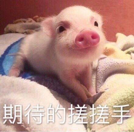 囧哥:热心市民冒台风移树清理路面 走近一看是周润发 囧哥:热心市民冒台风移树清理路面 走近一看是周润发图片