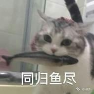 囧哥:共享男友什么鬼?明码标价7块钱接吻,你试吗? 囧哥:共享男友什么鬼?明码标价7块钱接吻,你试吗?图片
