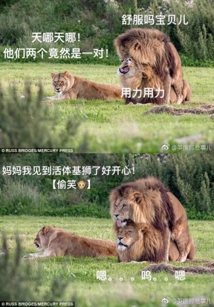 囧哥:共享男友什么鬼?明码标价7块钱接吻,你试吗? 囧哥:共享男友什么鬼?明码标价7块钱接吻,你试吗?图片