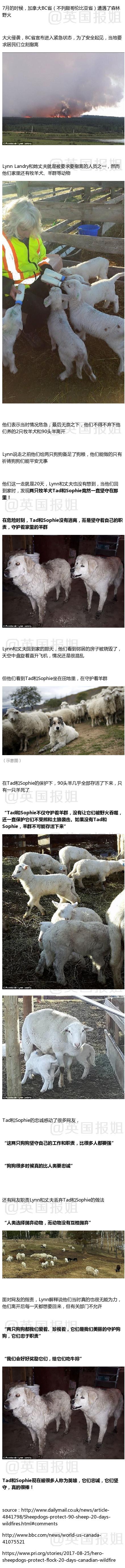 囧哥:我老了!朗诵被鬼畜走红的梁逸峰都当中文老师了 囧哥:我老了!朗诵被鬼畜走红的梁逸峰都当中文老师了图片