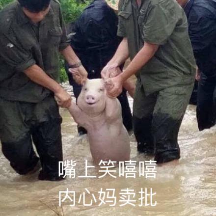 囧哥:大爷大妈占领KTV,李嬢嬢你又点枸杞威士忌啦? 囧哥:大爷大妈占领KTV,李嬢嬢你又点枸杞威士忌啦?图片