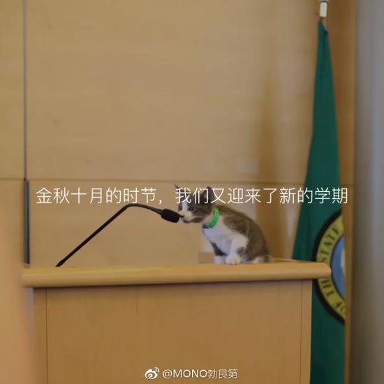 囧哥:考虑过人家女孩子的感受吗!新生孩取名王者荣耀 囧哥:考虑过人家女孩子的感受吗!新生孩取名王者荣耀图片