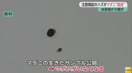 囧哥:男子国庆请假连休29天 经理只回了一个“滚”? 囧哥:男子国庆请假连休29天 经理只回了一个“滚”?图片