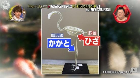 囧哥午间版:果断买!钱没真的花了是以另一种方式陪你 囧哥午间版:果断买!钱没真的花了是以另一种方式陪你图片