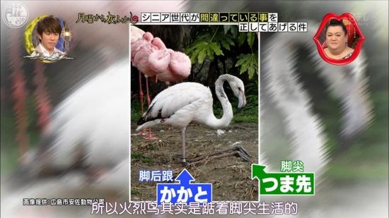 囧哥午间版:果断买!钱没真的花了是以另一种方式陪你 囧哥午间版:果断买!钱没真的花了是以另一种方式陪你图片