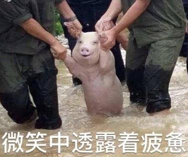囧哥:数学它不太难!高三学生用喊麦背三角函数公式 囧哥:数学它不太难!高三学生用喊麦背三角函数公式图片