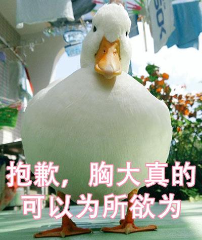囧哥:数学它不太难!高三学生用喊麦背三角函数公式 囧哥:数学它不太难!高三学生用喊麦背三角函数公式图片