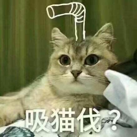 囧哥:台风名字哪家强?中央气象台喊你给台风起名了 囧哥:台风名字哪家强?中央气象台喊你给台风起名了图片