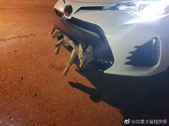 囧哥午间版:iPhoneX刘海有点眼熟,原来竟是他同款? 囧哥午间版:iPhoneX刘海有点眼熟,原来竟是他同款?图片