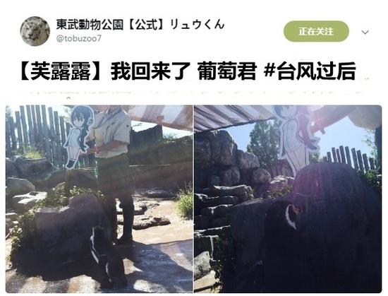 囧哥:为啥警方通报图片都是蓝底白字?看完对比我懂了 囧哥:为啥警方通报图片都是蓝底白字?看完对比我懂了图片