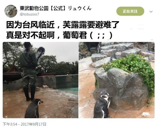 囧哥:为啥警方通报图片都是蓝底白字?看完对比我懂了 囧哥:为啥警方通报图片都是蓝底白字?看完对比我懂了图片