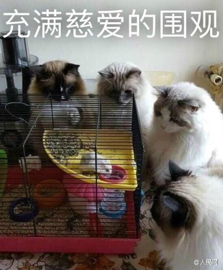 囧哥:女子进鬼屋抱工作人员 小哥说 囧哥:女子进鬼屋抱工作人员 小哥说