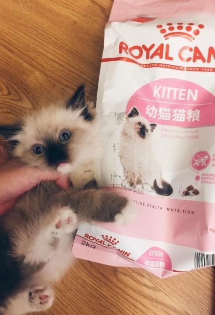 囧哥:女子进鬼屋抱工作人员 小哥说 囧哥:女子进鬼屋抱工作人员 小哥说