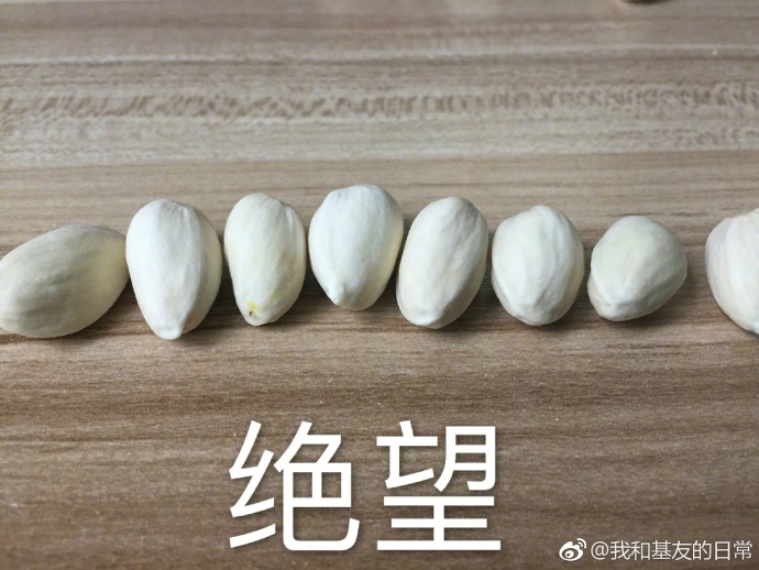 囧哥午间版:基因太重要了!吴尊居然不是他家最好看的 囧哥午间版:基因太重要了!吴尊居然不是他家最好看的图片