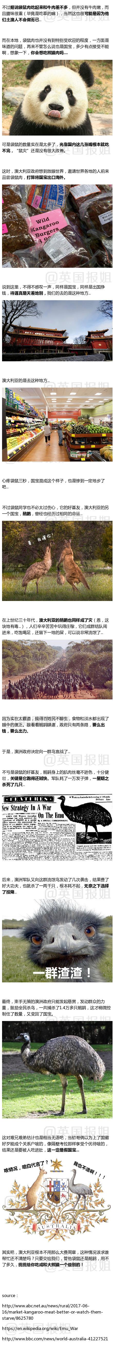囧哥:国宝不要面子的?澳洲现在居然让大家去吃袋鼠了 囧哥:国宝不要面子的?澳洲现在居然让大家去吃袋鼠了图片