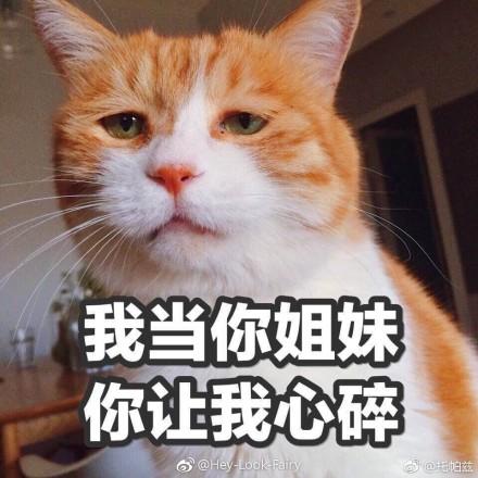 囧哥午间版:基因太重要了!吴尊居然不是他家最好看的 囧哥午间版:基因太重要了!吴尊居然不是他家最好看的图片