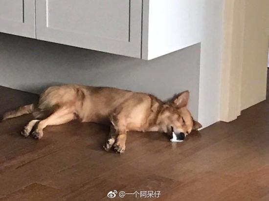 囧哥午间版:看完陈意涵的快乐到娇嗔 感觉林志玲输了 囧哥午间版:看完陈意涵的快乐到娇嗔 感觉林志玲输了图片