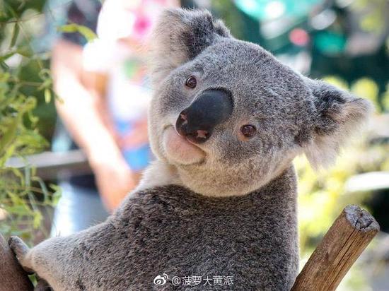 囧哥午间版:看完陈意涵的快乐到娇嗔 感觉林志玲输了 囧哥午间版:看完陈意涵的快乐到娇嗔 感觉林志玲输了图片