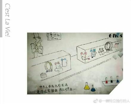 囧哥:小伙失恋大把撒币称 囧哥:小伙失恋大把撒币称