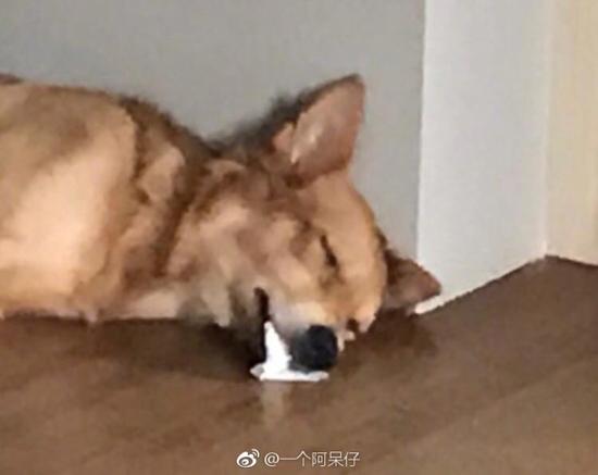 囧哥午间版:看完陈意涵的快乐到娇嗔 感觉林志玲输了 囧哥午间版:看完陈意涵的快乐到娇嗔 感觉林志玲输了图片