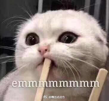 囧哥午间版:看完陈意涵的快乐到娇嗔 感觉林志玲输了 囧哥午间版:看完陈意涵的快乐到娇嗔 感觉林志玲输了图片
