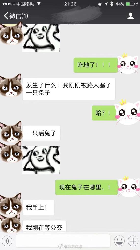 囧哥午间版:热量有这么高!1块月饼=5鸡腿2汉堡3披萨 囧哥午间版:热量有这么高!1块月饼=5鸡腿2汉堡3披萨图片