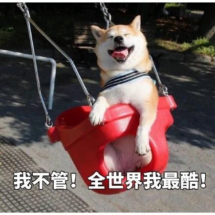 囧哥午间版:招聘一个追星的 摄影文案美工翻译全有了 囧哥午间版:招聘一个追星的 摄影文案美工翻译全有了图片