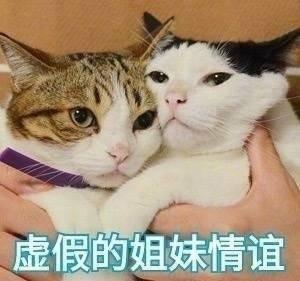 囧哥:幸亏毕业早!现在学校给父母看娃班里实时监控了 囧哥:幸亏毕业早!现在学校给父母看娃班里实时监控了图片