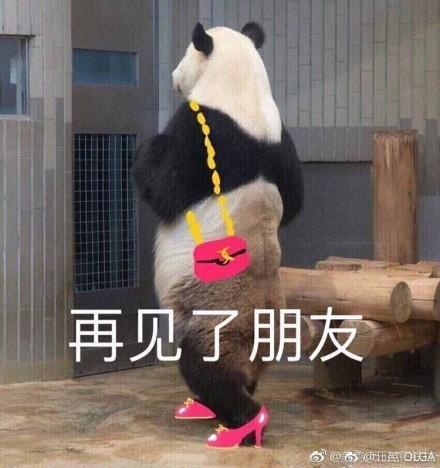 囧哥午间版:招聘一个追星的 摄影文案美工翻译全有了 囧哥午间版:招聘一个追星的 摄影文案美工翻译全有了图片