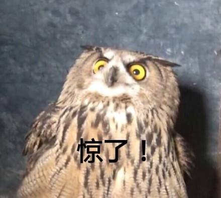 囧哥:有毒!高校迎新唱萧敬腾名曲立刻暴雨 唱完雨停 囧哥:有毒!高校迎新唱萧敬腾名曲立刻暴雨 唱完雨停图片