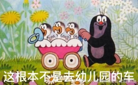 囧哥:心态崩了!日本天才少女连败乒乓国手已想放弃 囧哥:心态崩了!日本天才少女连败乒乓国手已想放弃图片