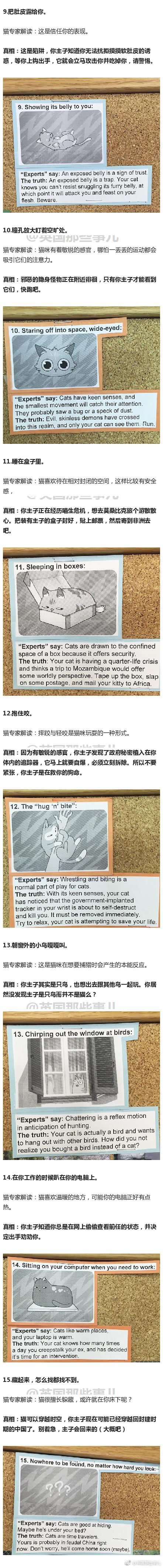 囧哥午间版:比四川男人更怕媳妇的一定是东北老爷们 囧哥午间版:比四川男人更怕媳妇的一定是东北老爷们图片
