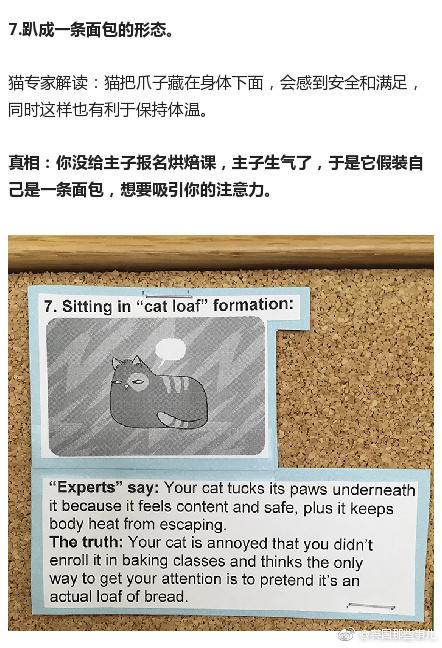 囧哥午间版:比四川男人更怕媳妇的一定是东北老爷们 囧哥午间版:比四川男人更怕媳妇的一定是东北老爷们图片