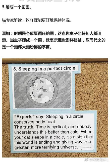 囧哥午间版:比四川男人更怕媳妇的一定是东北老爷们 囧哥午间版:比四川男人更怕媳妇的一定是东北老爷们图片