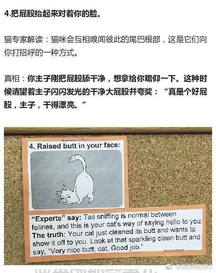 囧哥午间版:比四川男人更怕媳妇的一定是东北老爷们 囧哥午间版:比四川男人更怕媳妇的一定是东北老爷们图片