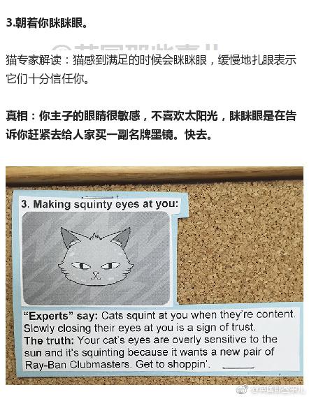囧哥午间版:比四川男人更怕媳妇的一定是东北老爷们 囧哥午间版:比四川男人更怕媳妇的一定是东北老爷们图片
