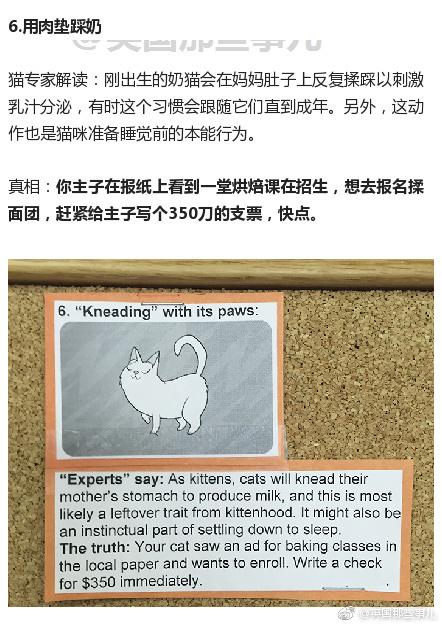 囧哥午间版:比四川男人更怕媳妇的一定是东北老爷们 囧哥午间版:比四川男人更怕媳妇的一定是东北老爷们图片