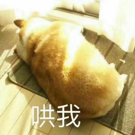 囧哥:西湖边的4G被“挤”断,能参观却发不了朋友圈 囧哥:西湖边的4G被“挤”断,能参观却发不了朋友圈图片