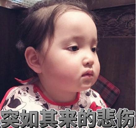 囧哥:西湖边的4G被“挤”断,能参观却发不了朋友圈 囧哥:西湖边的4G被“挤”断,能参观却发不了朋友圈图片
