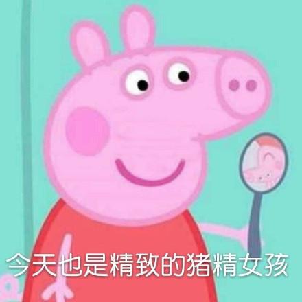囧哥:西湖边的4G被“挤”断,能参观却发不了朋友圈 囧哥:西湖边的4G被“挤”断,能参观却发不了朋友圈图片