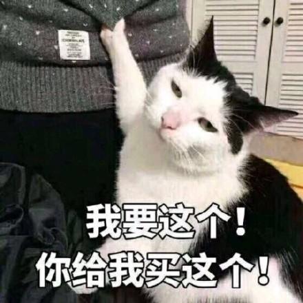 囧哥:西湖边的4G被“挤”断,能参观却发不了朋友圈 囧哥:西湖边的4G被“挤”断,能参观却发不了朋友圈图片